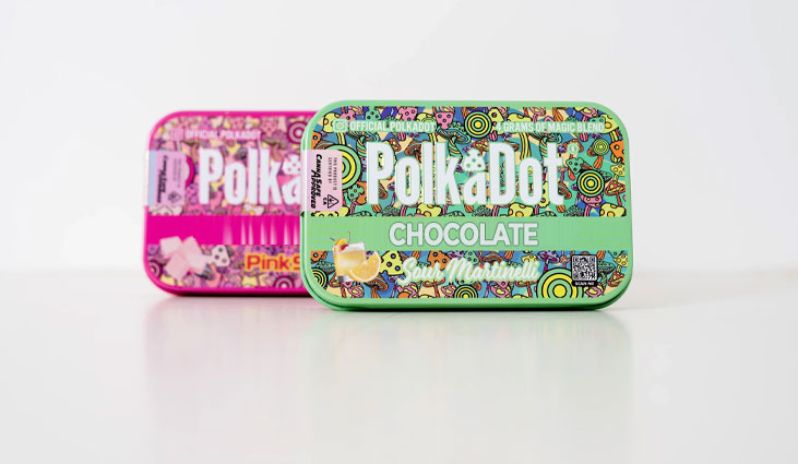 Polka Dot Mushroom Chocolate