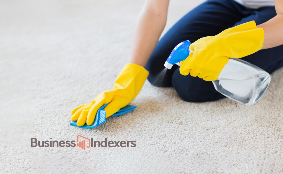 How to Clean Carpet on a $25 Budget