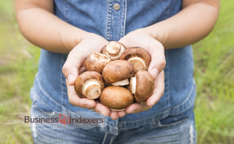 Right Equipment for Starting a Mushroom Farm