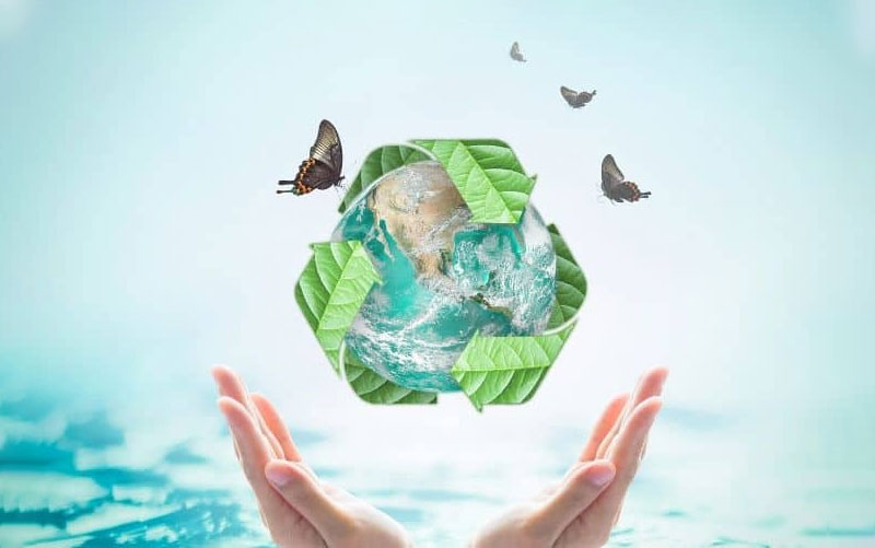 Sustainable Living: A Path Towards a Greener Future